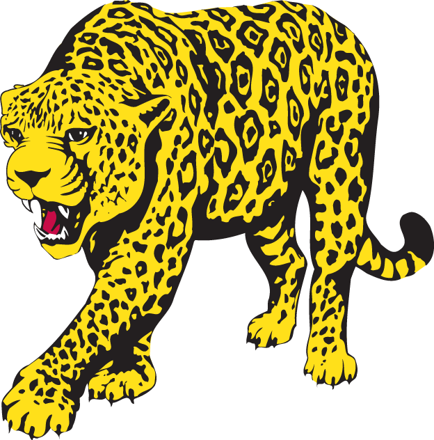 South Alabama Jaguars 1993-2007 Partial Logo diy iron on heat transfer